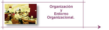 Organización y entorno organizacional